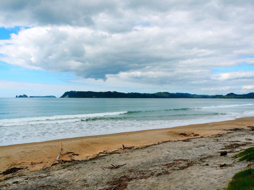 Absolute Beachview B & B Whitianga Exterior foto