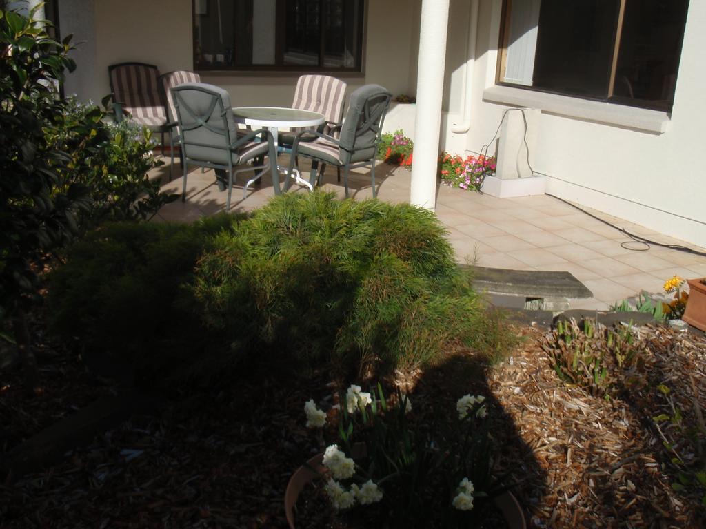 Absolute Beachview B & B Whitianga Exterior foto