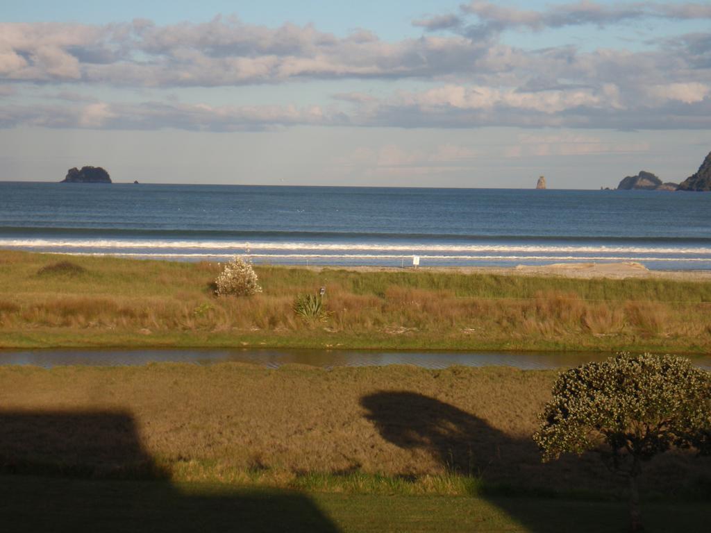 Absolute Beachview B & B Whitianga Exterior foto